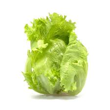 Lechuga
