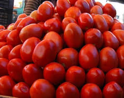Tomate Criollo