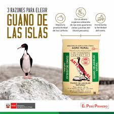 Guano de Isla